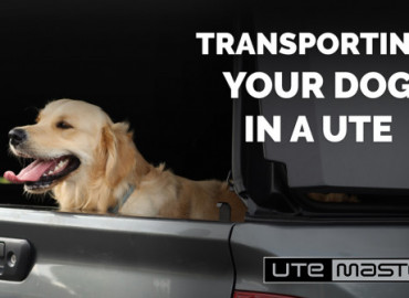 Transporting your dog in a ute