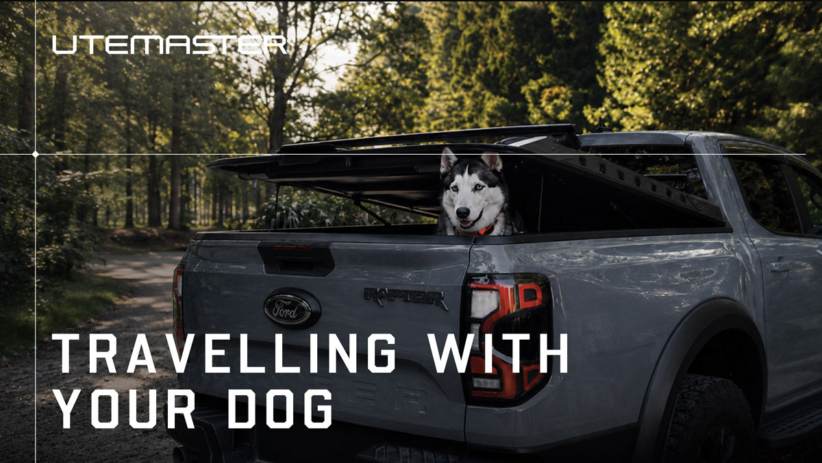 How to Transport Your Dog Safely in a Ute